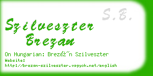 szilveszter brezan business card